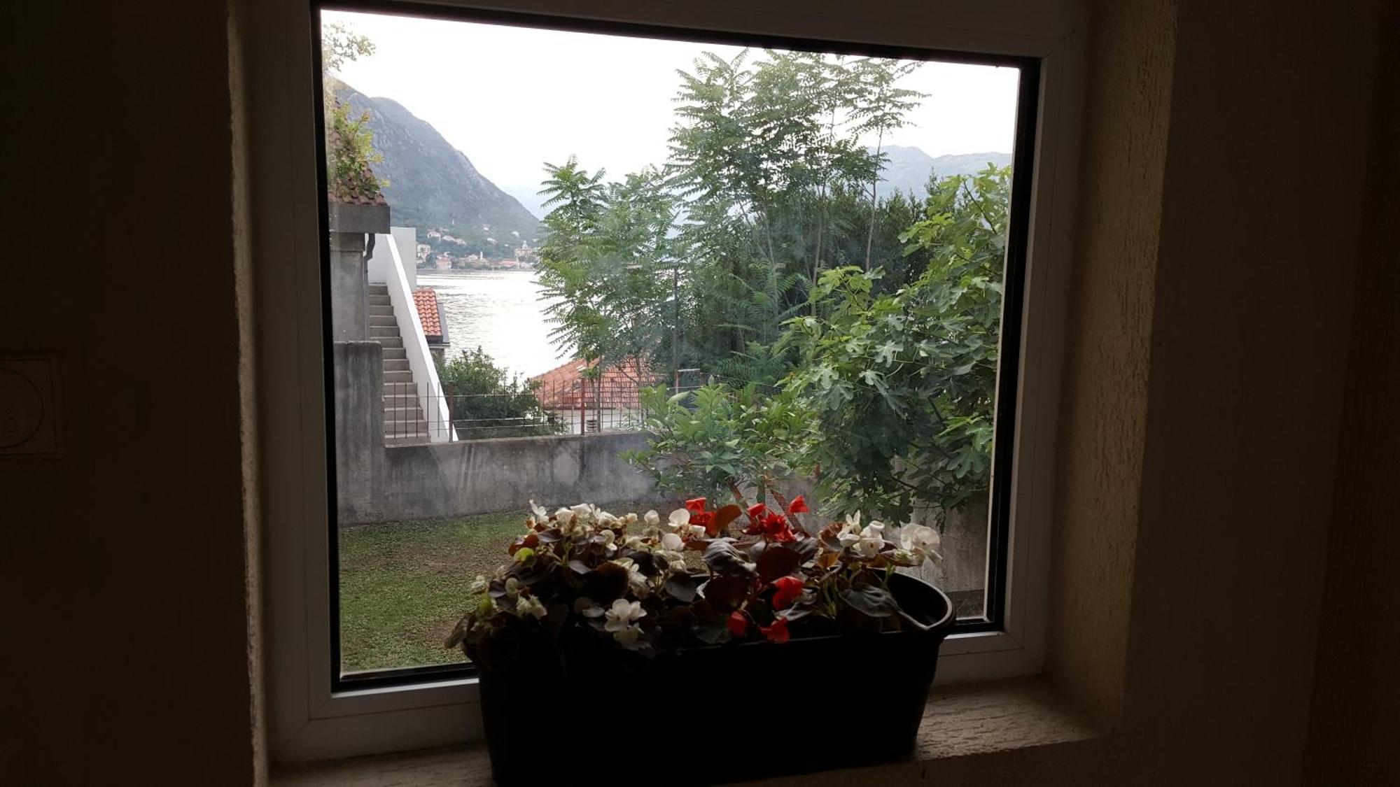 Apartments 101 Kotor Rum bild
